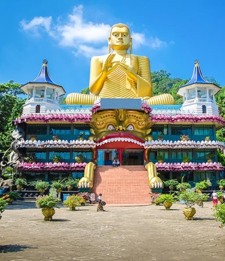 See the Mighty Himalaya